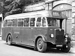 AEC Regal I Willowbrook 1939 года